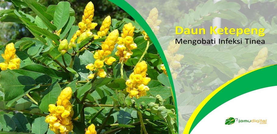 Ramuan Tradisional Mengobati Infeksi Tinea